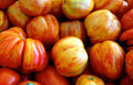 Old German Tomato Seeds - Fresh Heirloom Seeds for Home Gardening - Lycopersicon esculentum
