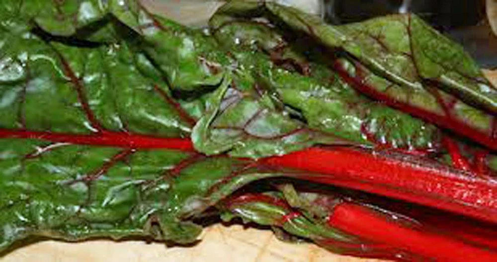 Heirloom Rhubarb Seed Pack, Non-GMO, 1000 Seeds, Swiss Chard Variety, Organic Gardening, Planting Seeds