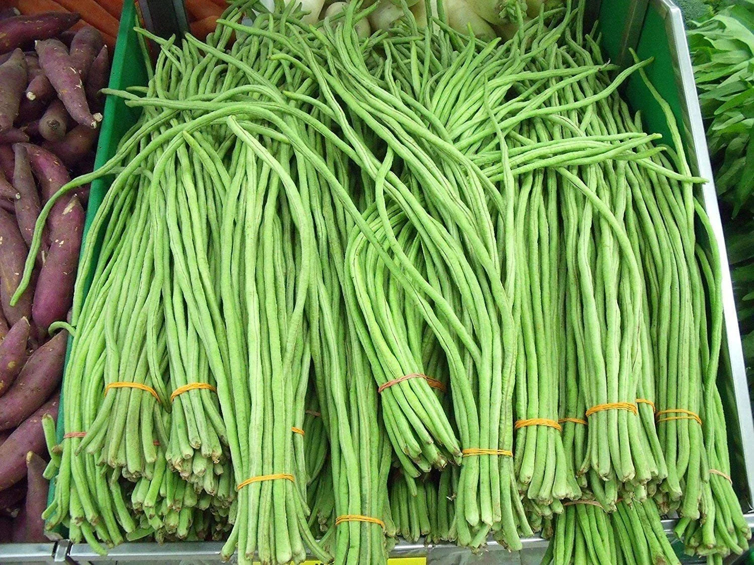 Asian Long Bean Seeds - 30 Seeds - Fast Growing Sweet Tende Variety - Ideal for Planting
