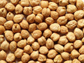 Garbanzo Bean Seeds - 200 Count - Organic Chickpeas - Cicer arietinum