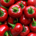 Red Cherry Hot Pepper Seeds - 10+ Non-GMO Heirloom Organic - Pimenta