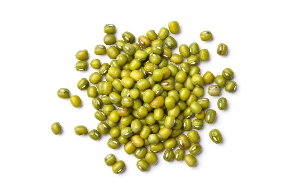 Mung Bean Seeds for Planting - Organic Moong Beans - Healthy Sprouting Seeds - Vigna radiata