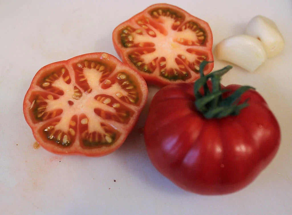 Sub Arctic Plenty Tomato Seeds - Heirloom Organic NON-GMO - 120+ Seeds - Fast Growing (45-50 Days)