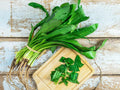 Culantro Seeds 100 mg Naturally Grown Eryngium Foetidium for Planting