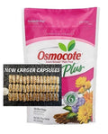 Osmocote Plus Root Tabs 15 Count LARGE Capsules 000 Aquarium Plant Fertilizer - Essential Nutrients for Healthy Plants