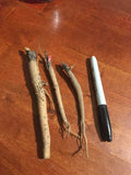 Victoria Rhubarb Plant Crown - 3 Year Old Bare Root - Edible Perennial - Rheum rhabarbarum - USDA Zones 3-8
