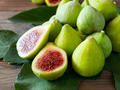 Green Ischia Fig Tree Cuttings – 2 Unrooted Ficus Carica Cuttings – Includes Natural Willow Water Accessory