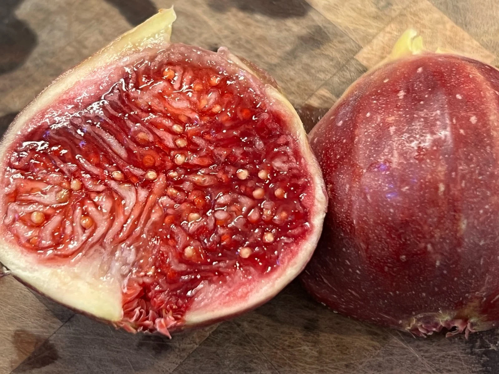 Wilson’s Coyote Rainbow Fig – 3 Unrooted Cuttings, Rare Ficus carica Variety, Colorful Sweet Fig Tree Starter for Planting