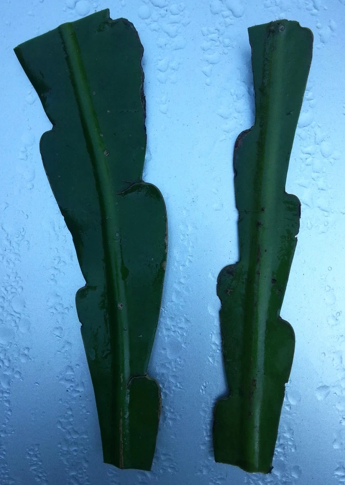 Epiphyllum Hookeri Orchid Cactus Cuttings – 5 Live Night Blooming Cactus Cuttings for Planting