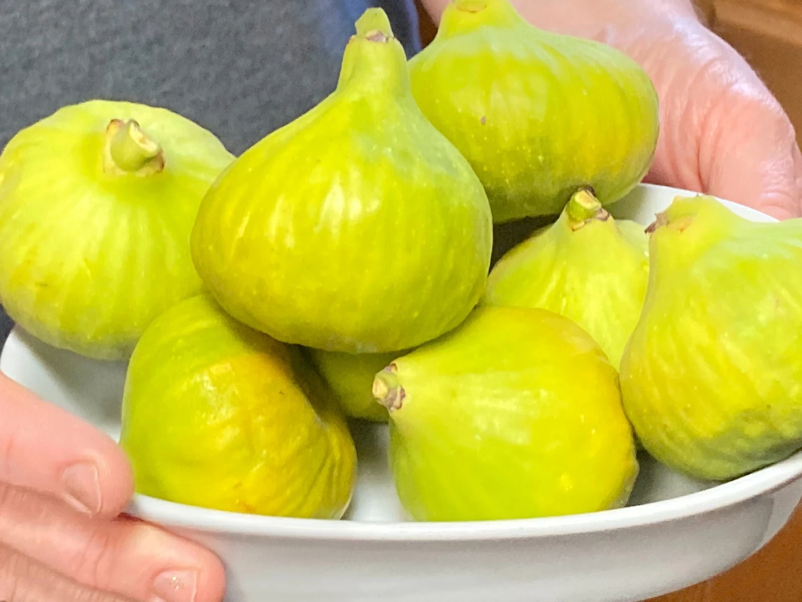 Desert King Fig Tree Cuttings Unrooted, Fig Scions for Propagation Fruit Tree Variety Set of 8
