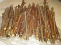 American Elderberry Cuttings – 10 Unrooted Elderberry Cuttings for Planting, Sambucus Nigra