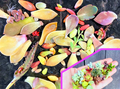 Succulent Leaf Cuttings for Propagation – 300+ Mixed Leaves with Starts, Florettes and Rosettes