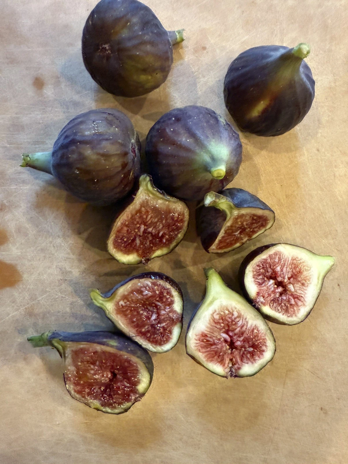 Chicago Hardy Fig Tree Cuttings – Ficus carica ‘Chicago Hardy’ Unrooted Fig Cuttings for Rooting & Grafting