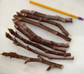 Texas Everbearing Fig Cuttings – 3 Fresh 6–8" Stems for Rooting, Hardy Ficus carica Variety for Zones 6–11 Fruit Gardens