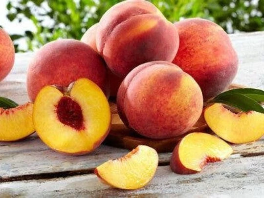Nemaguard Peach Tree Fresh Cuttings – Prunus persica Rootstock, 10 Unrooted Cuttings 6–8 Inches Long