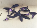 Purple Jade Succulent – 6 Live Cuttings – Easy-Grow Jade Variety with Purple Tones – Perennial Starter for Planting