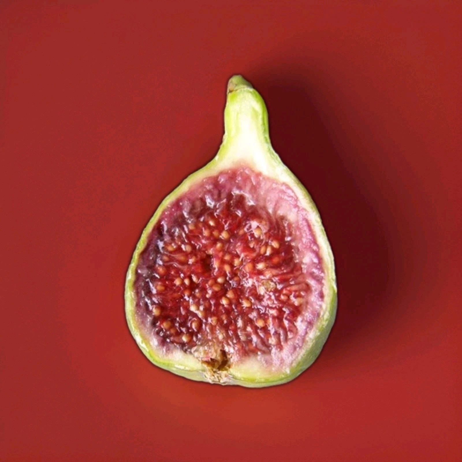 Strawberry Verte Fig Cutting – 6 to 8 Inch Unrooted Cutting – For Rooting or Grafting