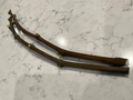 Strawberry Verte Fig Cuttings – 2 Fresh Ficus carica Cuttings 12 Inches Long, Fruit Tree for Rooting