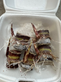 Dark Purple Sugarcane Rooted Cuttings – 5 Live Saccharum officinarum Pieces for Propagation and Planting