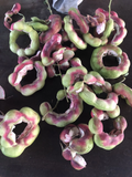 Manila Tamarind Madras Thorn Seeds – Pithecellobium dulce – 20 Seeds for Planting