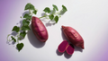 Japanese Purple Sweet Potato Slips – 10 Live Ipomoea batatas Cuttings, Purple Sweet Potato Plants for Planting