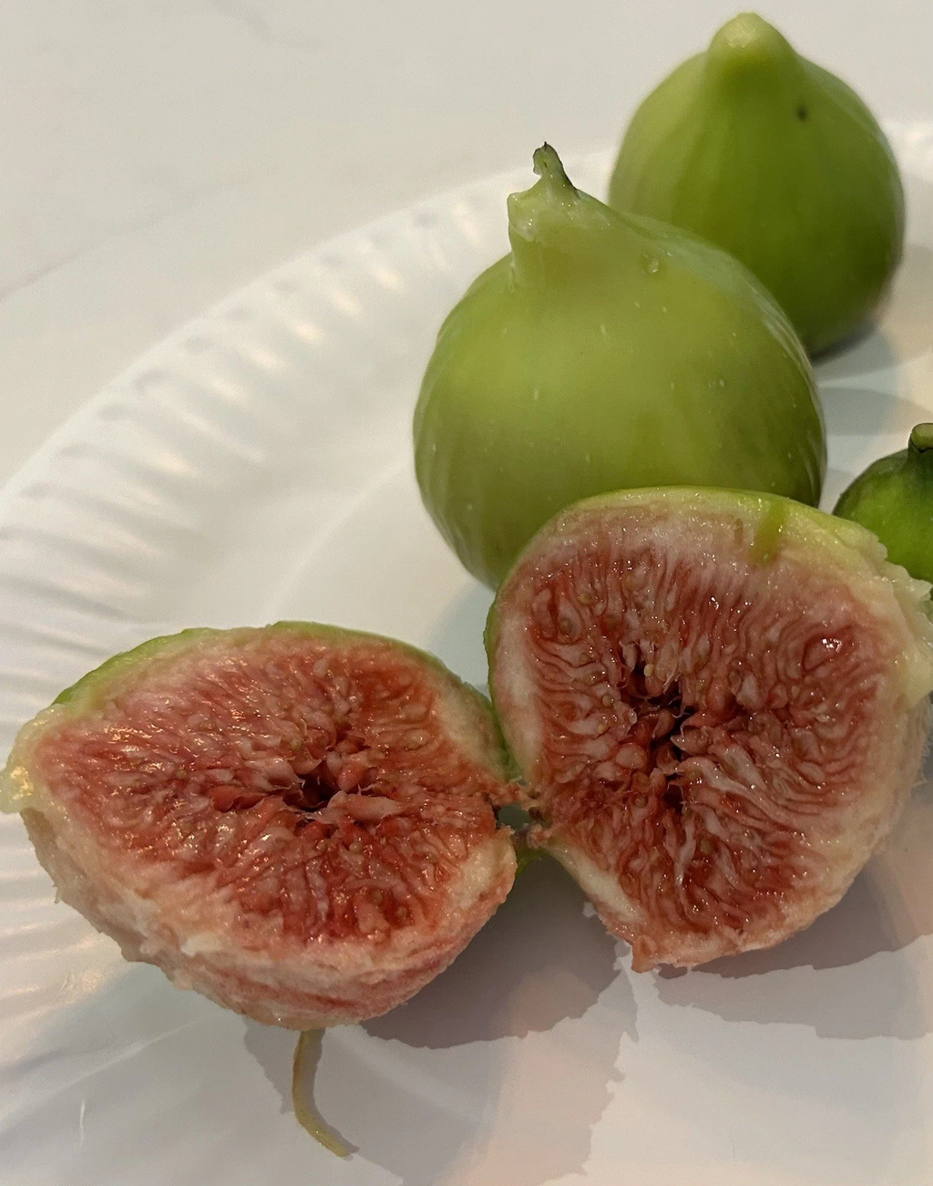 Sicilian White Fig Tree Cuttings – Fresh Unrooted Ficus carica Stems – Organic Cutting Wood from Mother Tree