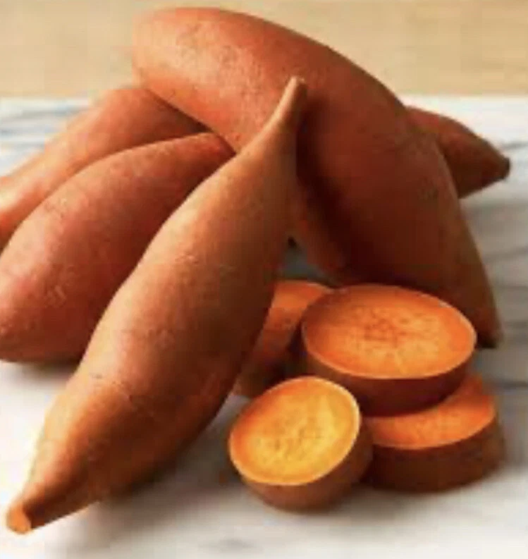 Beauregard Sweet Potato Slips – 10 Live Cuttings, Fresh Organically Grown Starts for Planting, High-Yield Orange Sweet Potatoes