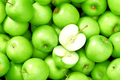 Granny Smith Apple Tree Scions 6–10 Inch Cuttings for Grafting Rooting, Fresh Fruit Tree Scionwood Set of 5