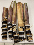 Black Soft Chew Sugar Cane Cuttings Unrooted Live Saccharum Officinarum for Planting