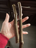 Black Madeira Fig Tree Cuttings – 2 Unrooted Cuttings 6 Inch+, 3 Buds Each, Ficus carica Fruit Tree for Propagation