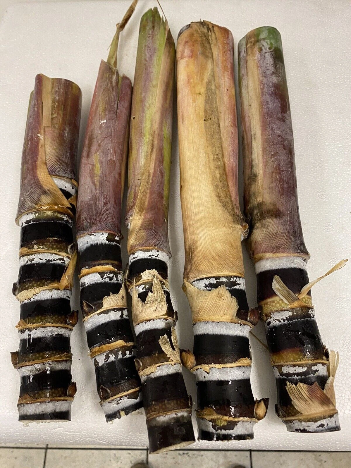 Soft Chew Black Sugarcane Cuttings, Saccharum officinarum Unrooted Cane for Garden or Container Growing