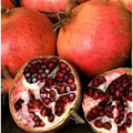 Pomegranate Unrooted Cuttings – 7 Punica granatum Live 6 Inch Fruit Tree Cuttings for Propagation