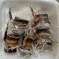 Dark Purple Sugarcane Rooted Cuttings Ready to Plant, Sweet Cane Variety Live Plant Set of 5 for Home Growing