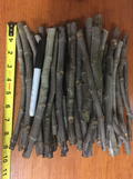 Negronne Fig Tree Cuttings – 3 Fresh Unrooted Ficus Carica ‘Negronne’ Cuttings for Fruit Tree Propagation