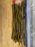 Olive Tree Cutting – Fresh Unrooted Olea Europaea Cuttings for Propagation and Planting