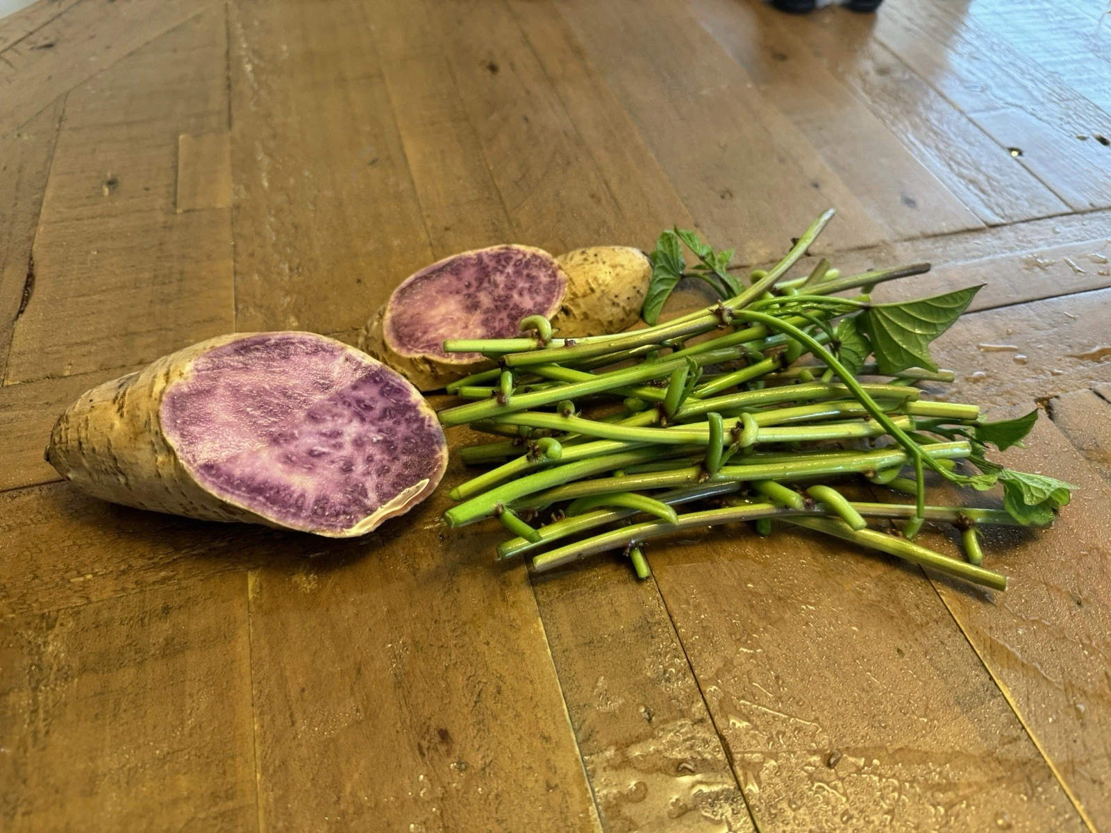 Okinawa Purple Sweet Potato Slips – 15 Japanese Sweet Potato Vine Cuttings for Planting