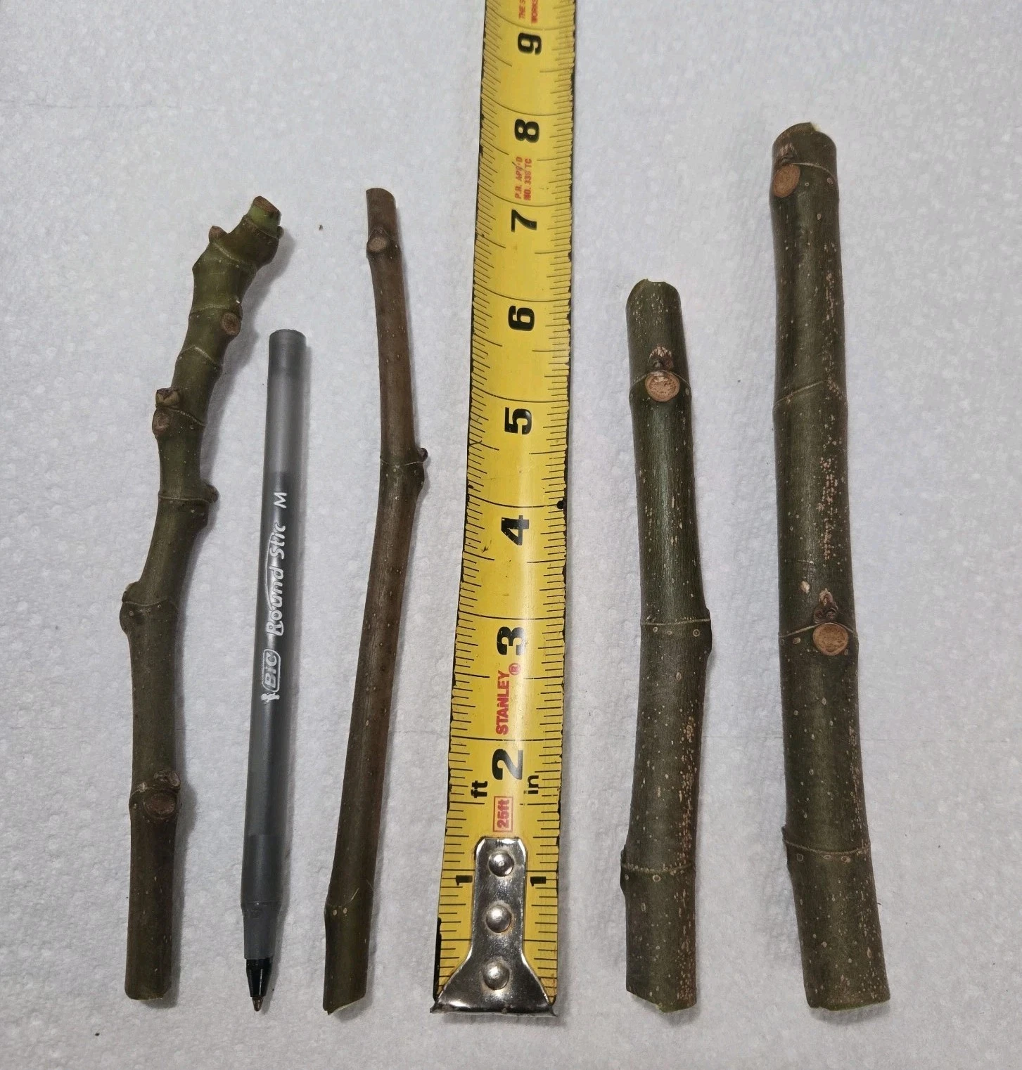 Brown Turkey Fig Cuttings Ficus carica, Cold Hardy Fruit Tree Cuttings, Set of 4 Unrooted Cuttings for Planting