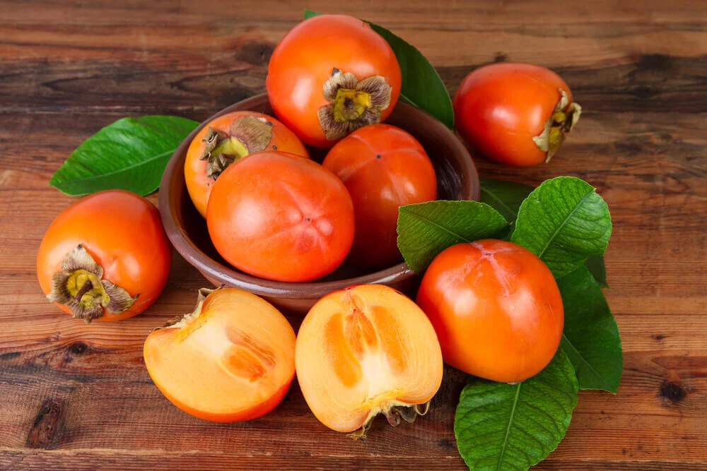 Kaki Persimmon Cuttings Diospyros Kaki Tomel 5 Unrooted Pieces for Grafting Fruit Tree Propagation