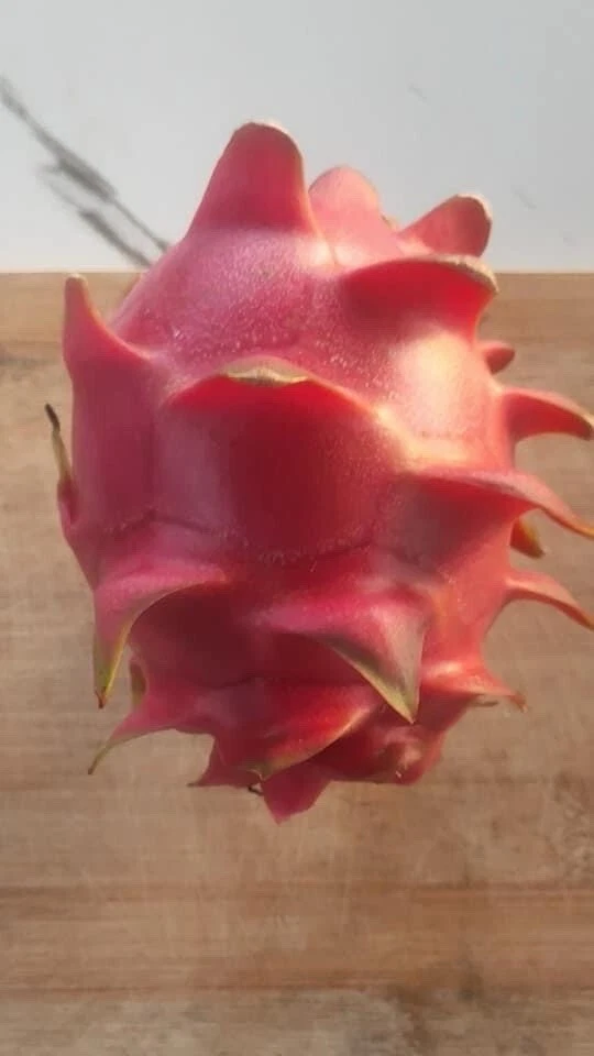 Dragon Fruit Cuttings 8–14 Inch, Pitaya Unrooted Cactus Cuttings for Propagation Set of 10