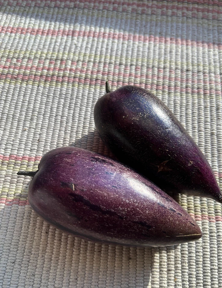 Pepino Melon Cuttings – 6 Fresh Deep Purple Variety, Easy-Rooting Solanum Muricatum for Containers, Edible Gardens & Warm Climates
