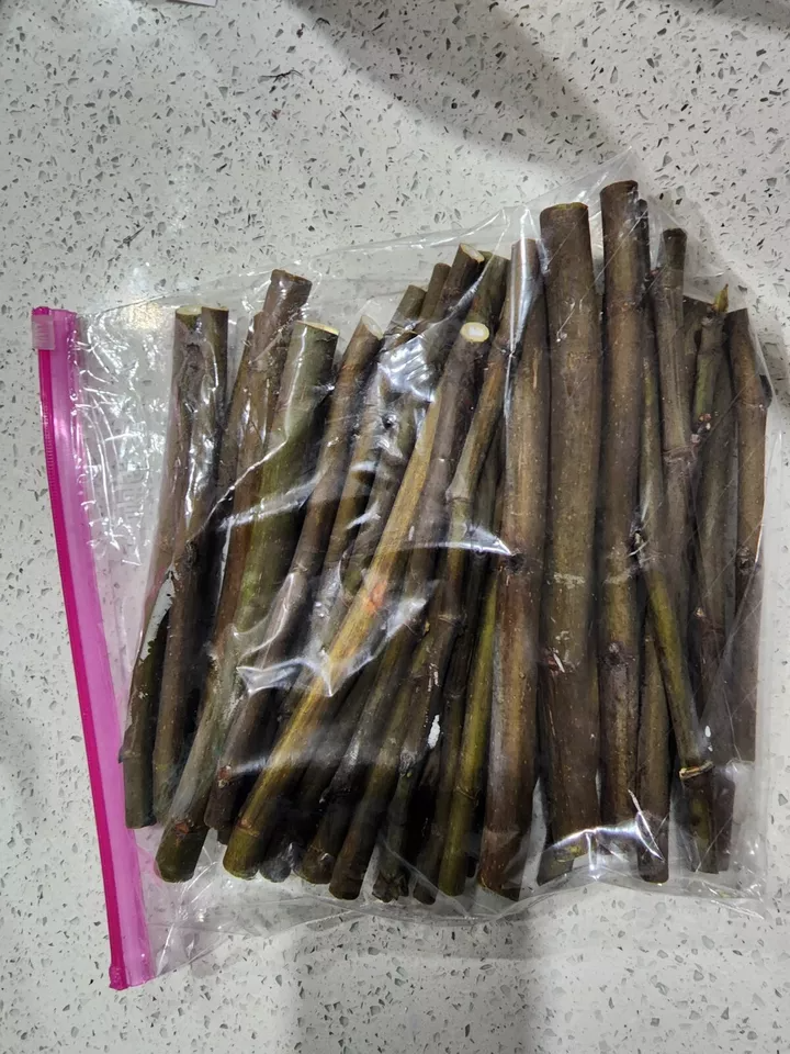 Smith Fig Tree Cuttings Unrooted, Fig Cuttings for Propagation with Willow Water Rooting Aid Set of 2