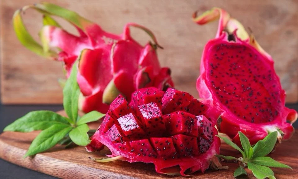 American Beauty Dragon Fruit Cuttings 3 Pack 8 Inch Unrooted Self Pollinating Cactus