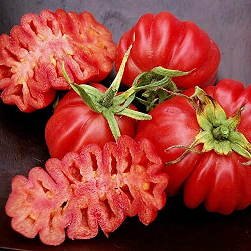 25 Ruffled Tomato Seeds | Exotic Heirloom Solanum lycopersicum | Grow Beautiful Ribbed Tomatoes for Salads, Sauces & Gardens