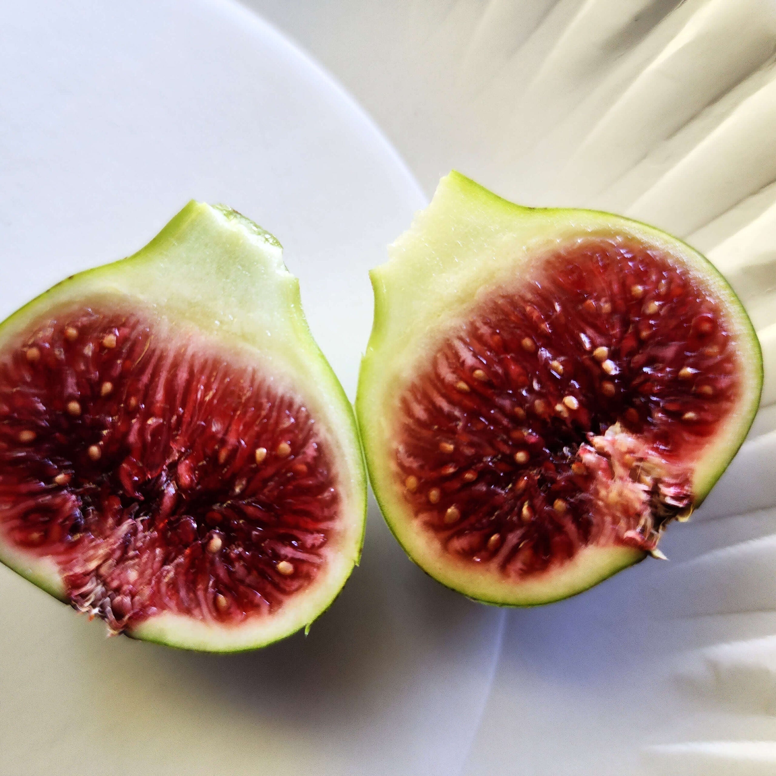 Smith Fig Cuttings (Ficus carica) - 5 Unrooted 6–8" | Rare Premium Fig Variety | Rich Sweet Flavor | Propagate Heirloom Fruit Tree