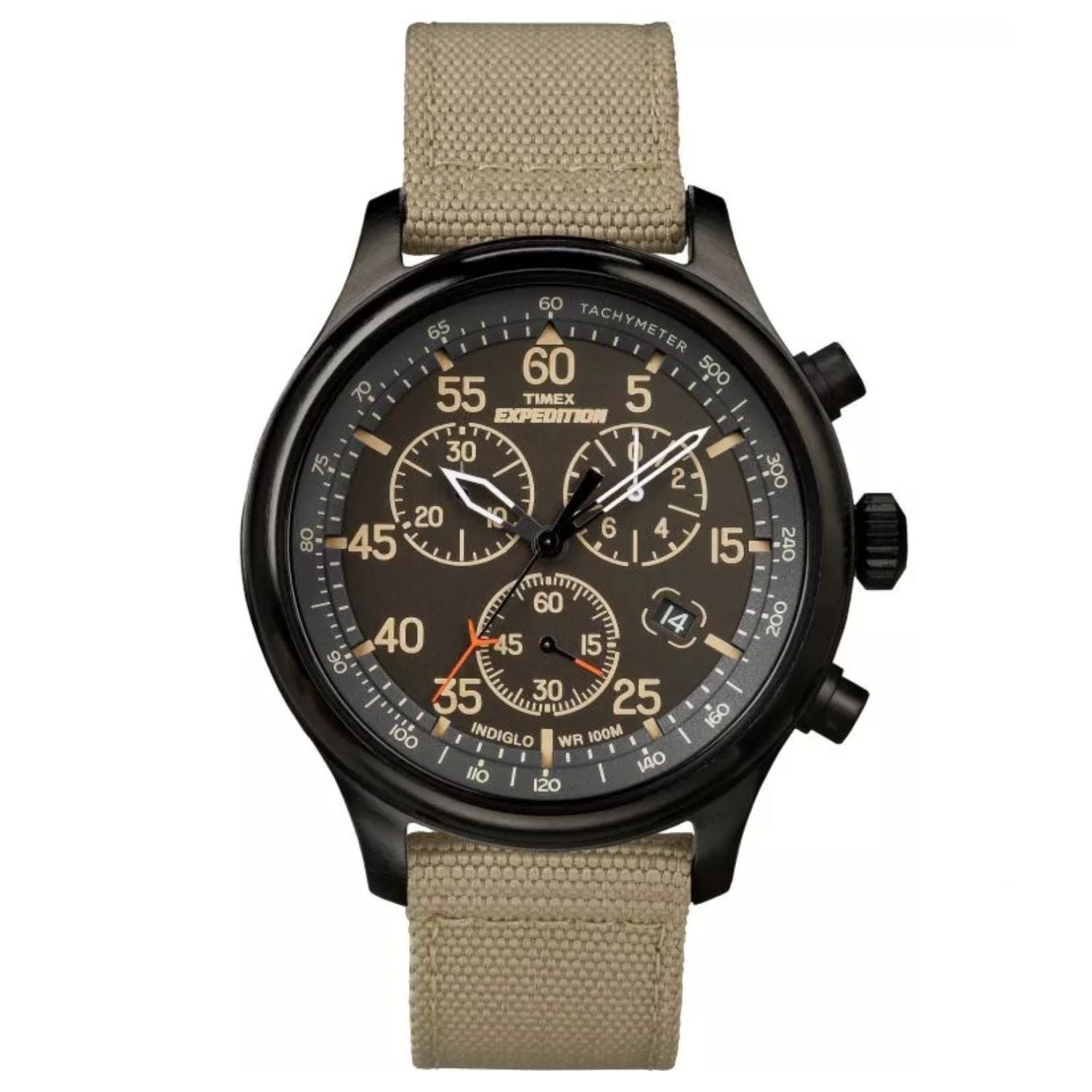 Timex Men's Expedition